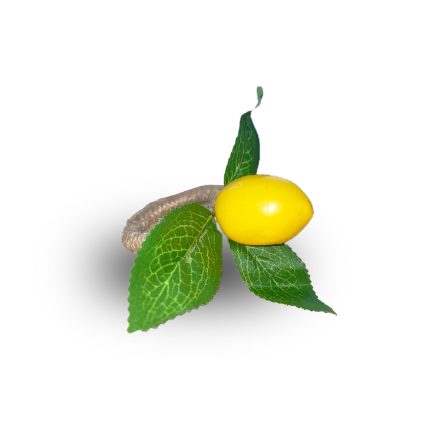 Lot de 10 ronds de serviette citron jaune
