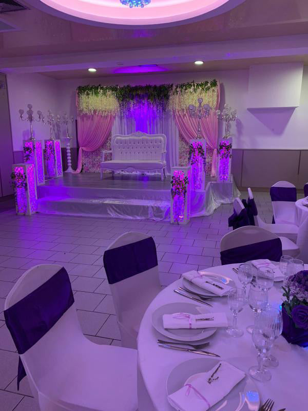 270 Noeuds de chaises violets