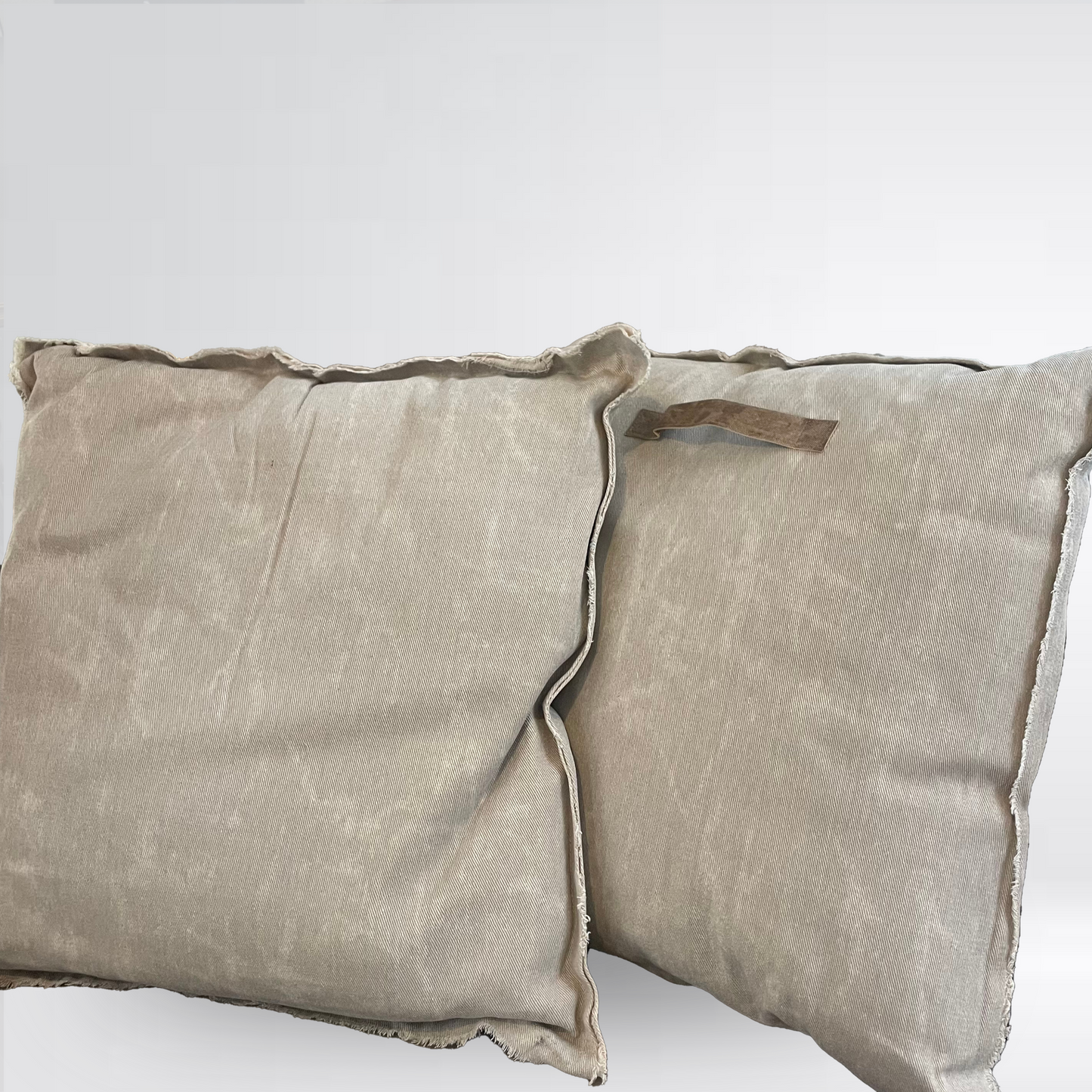 Lot de 2 grands coussins gris clairs