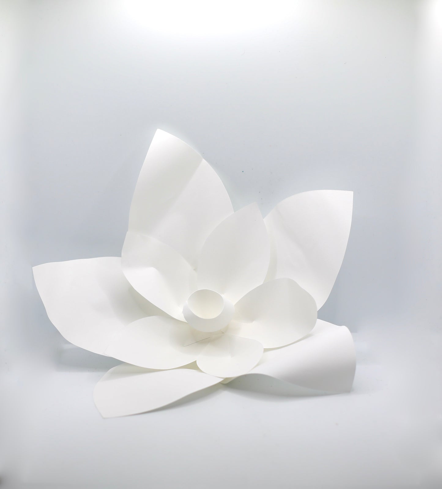 Lot de 9 fleurs blanches en papier