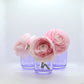Lot de 8 petits vases ou photophores parme
